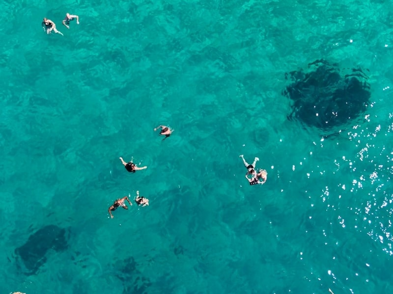 Turkuaz Sularda Yüzme