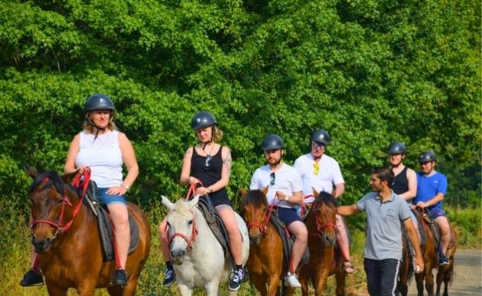 Marmaris At Safari Feature