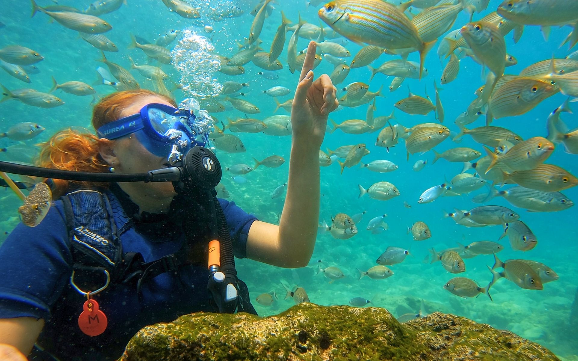 Bodrum Dalış Turları